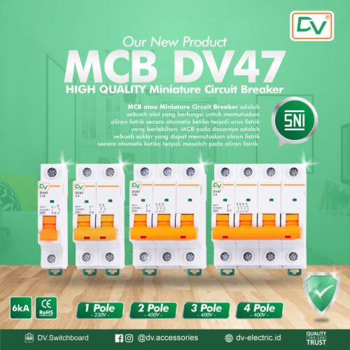 DV 1