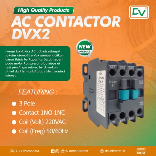 DV 3